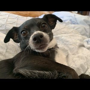 Meet your Posher, Inner